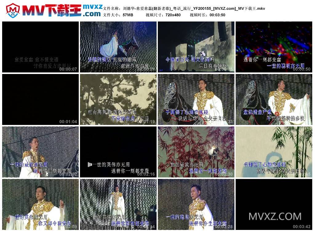 刘德华-愈爱愈蠢(翻新老歌)_粤语_流行_YF200155